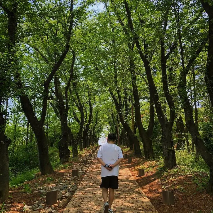 ****  로얄 엠포리움 인천 공항 호텔 대한민국